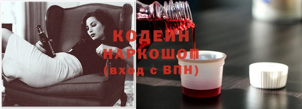 мдпв Дмитровск